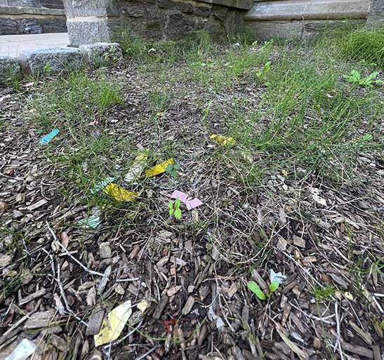 COnfetti in grass