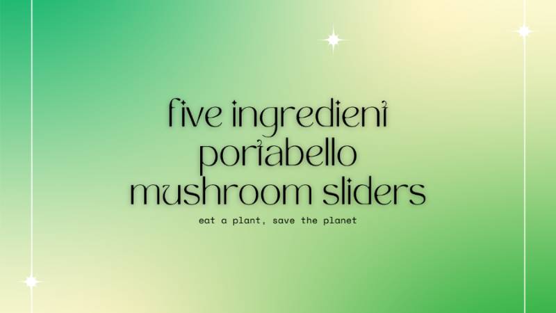 mushroom recipe