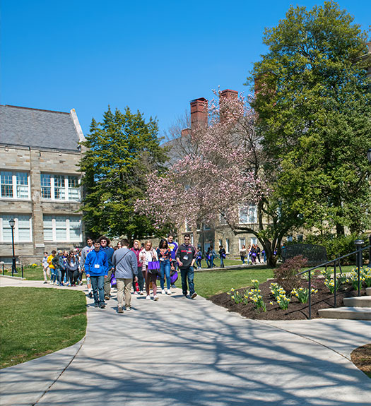 Prospective Students on group tour