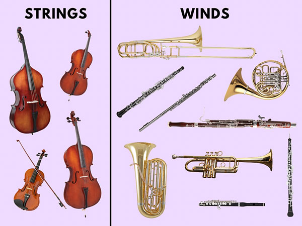 Example of strings and wind instruments