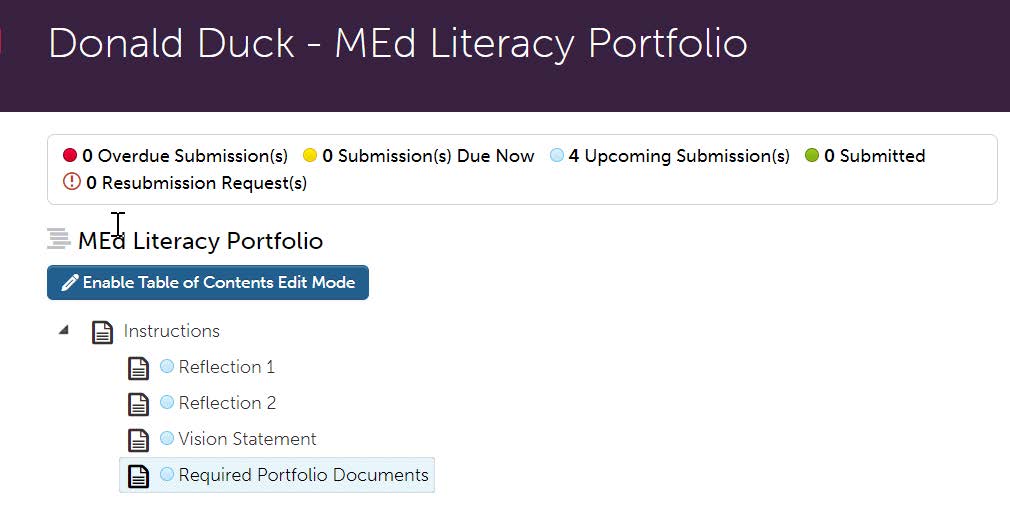 MEd Literacy Portfolio