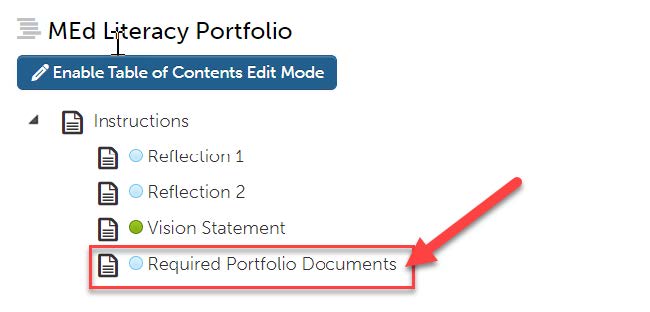 required portfolio documents