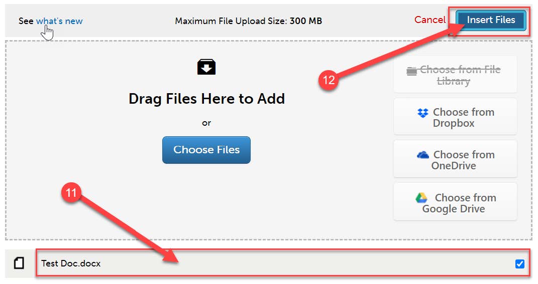 insert files