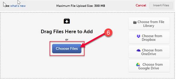 choose files