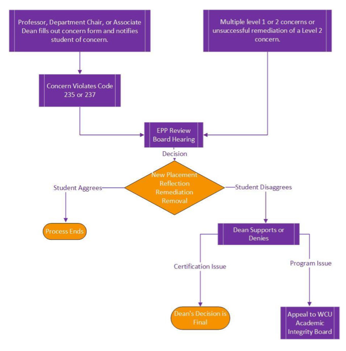 Areas of Significant Concern Summary Chart for level 1 and level 2 concerns