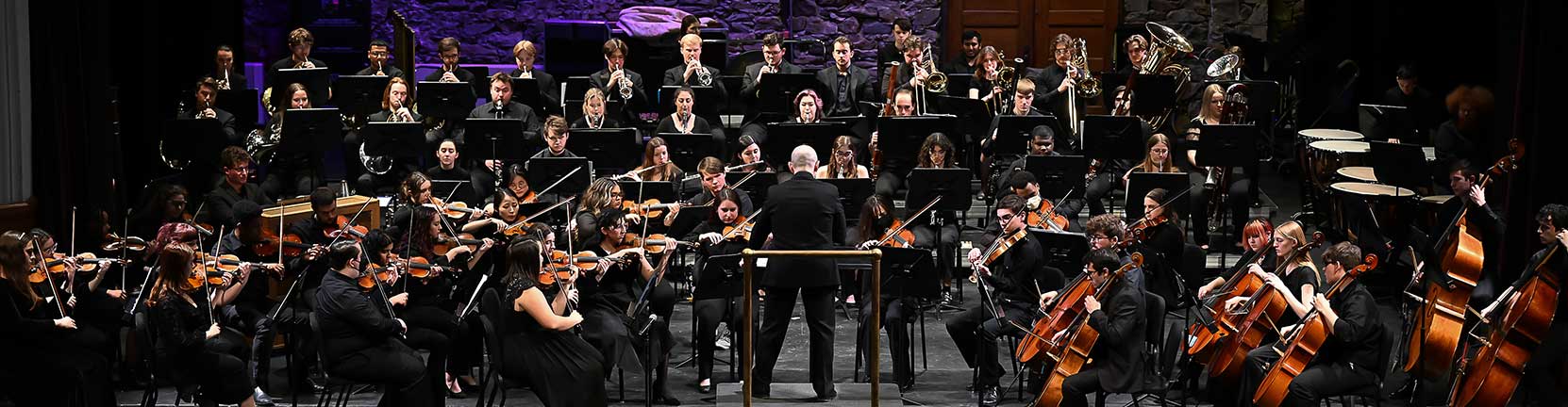 Image of orchestra