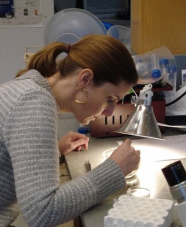 Dr. Anne Boettger