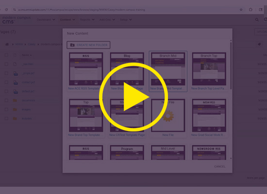 Creating new pages and folders